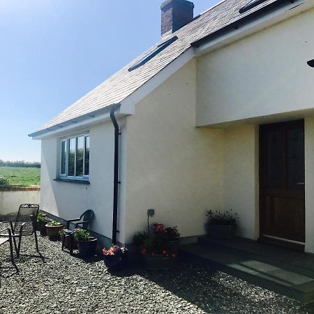 Family Run Farm B&B Gooseham Exteriör bild