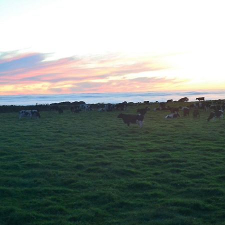 Family Run Farm B&B Gooseham Exteriör bild