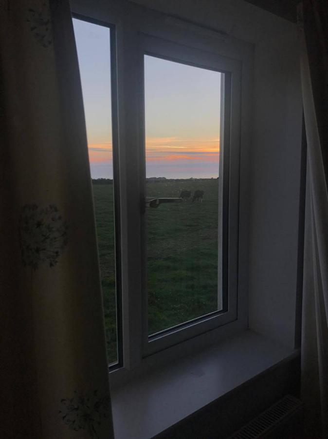 Family Run Farm B&B Gooseham Exteriör bild