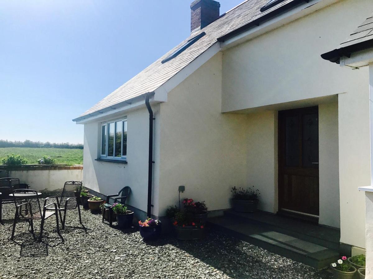 Family Run Farm B&B Gooseham Exteriör bild